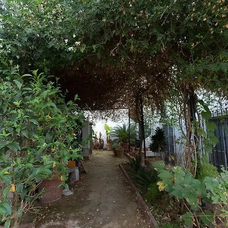 Casa Don Zoilo Habitación en casa particular